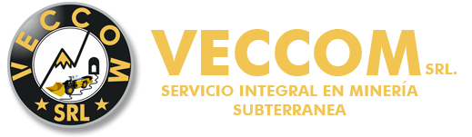 VEGA´S CONSTRUCTION COMPANY